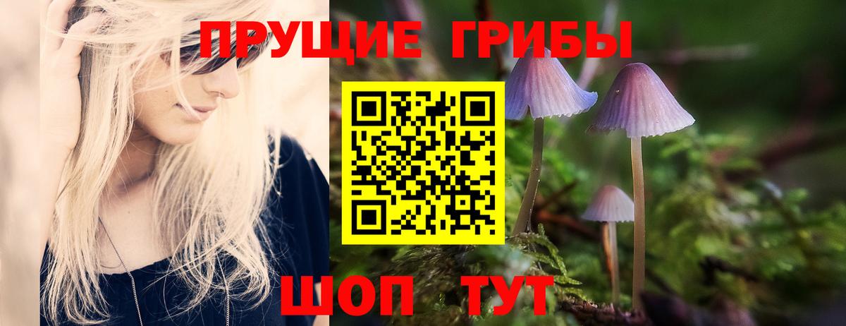 Галлюциногенные грибы GOLDEN TEACHER  Галлюциногенные грибы GOLDEN TEACHER  Муром  Вход с VPN 