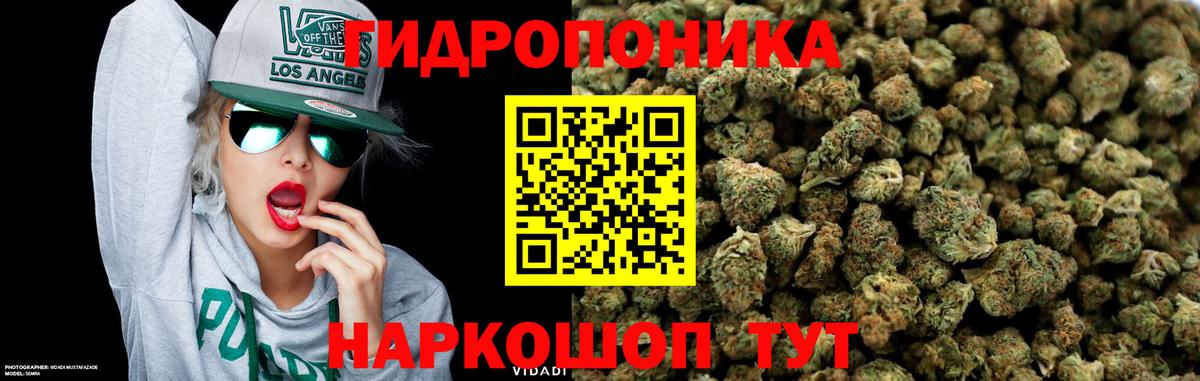 Марихуана марихуана  Каннабис SATIVA & INDICA  Вход с VPN  Муром  Шишки марихуана White Widow 